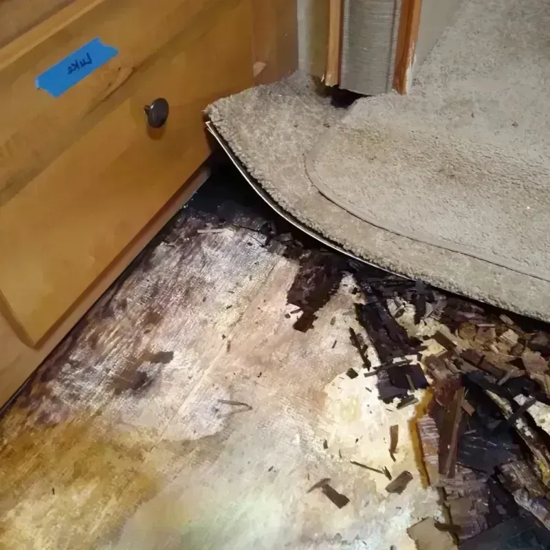 Wood Floor Water Damage in Celebration, FL